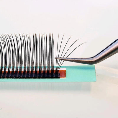 perfect fan wimperextensions