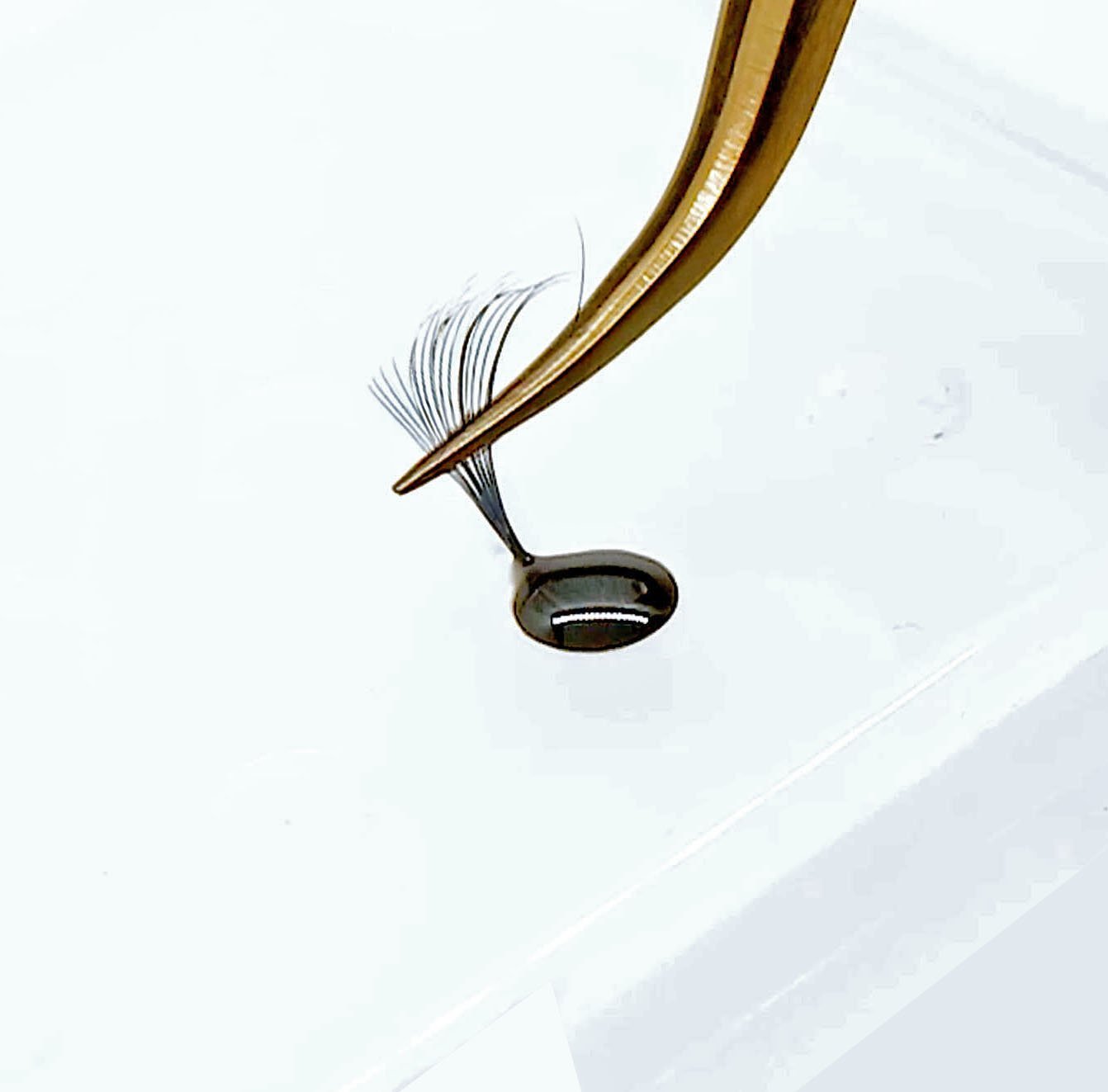 volume expert lijm pallet